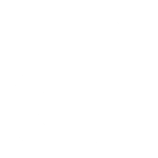 TikTok Icon